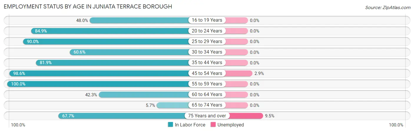 Employment Status by Age in Juniata Terrace borough