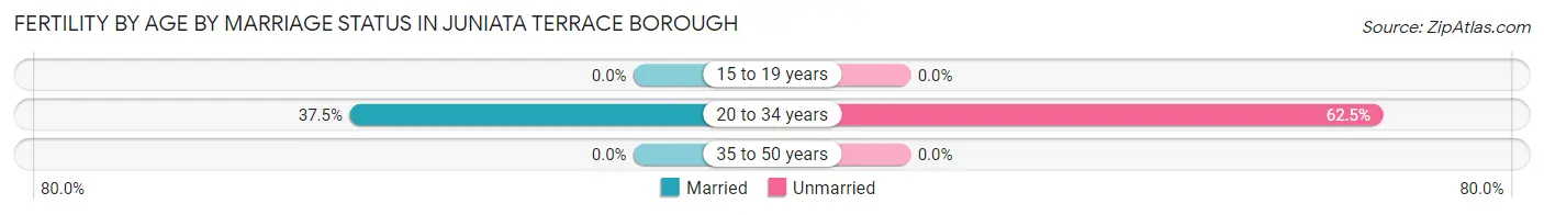 Female Fertility by Age by Marriage Status in Juniata Terrace borough