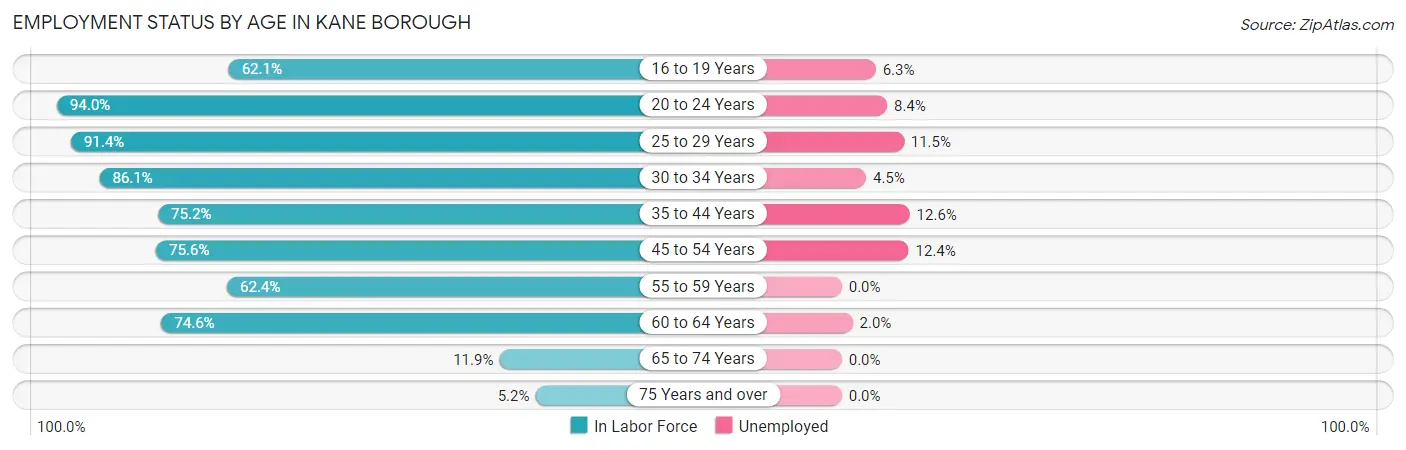 Employment Status by Age in Kane borough