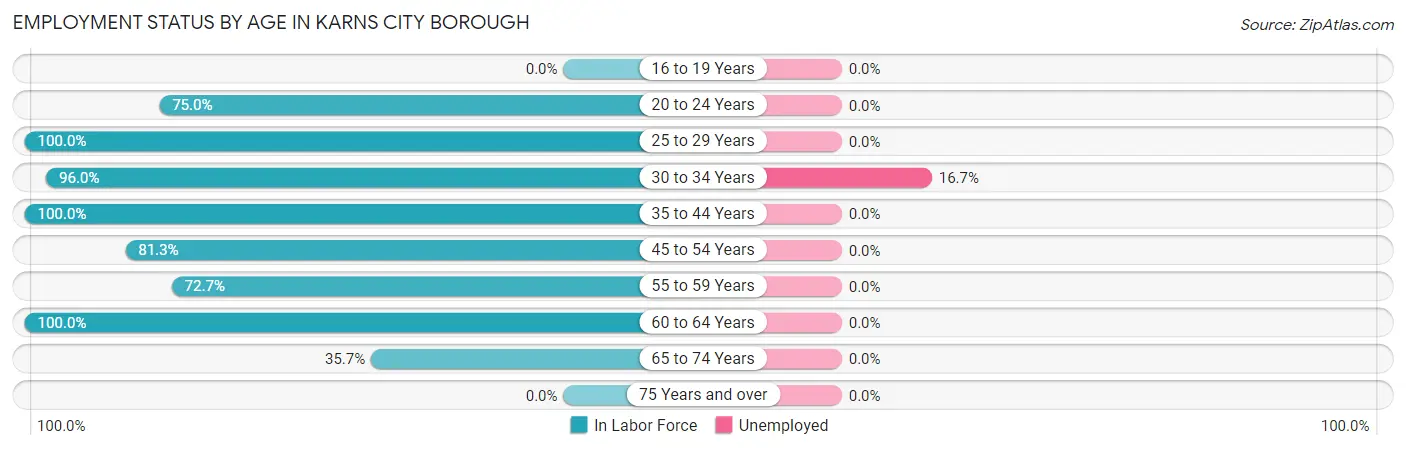 Employment Status by Age in Karns City borough