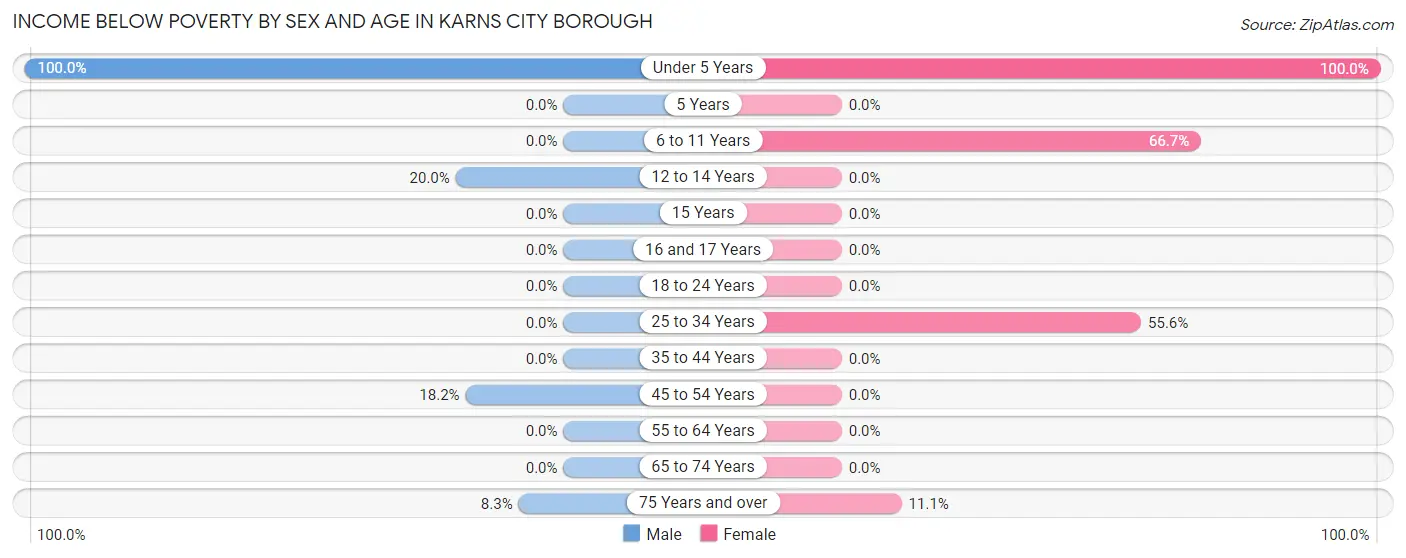 Income Below Poverty by Sex and Age in Karns City borough