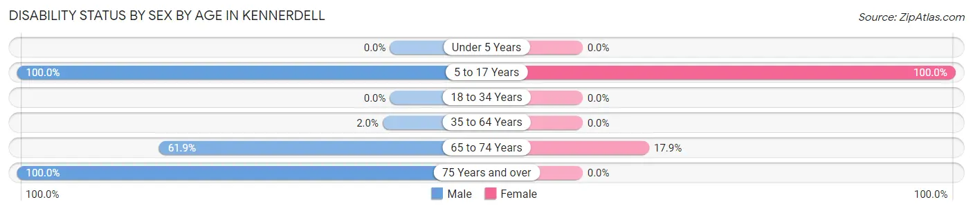 Disability Status by Sex by Age in Kennerdell