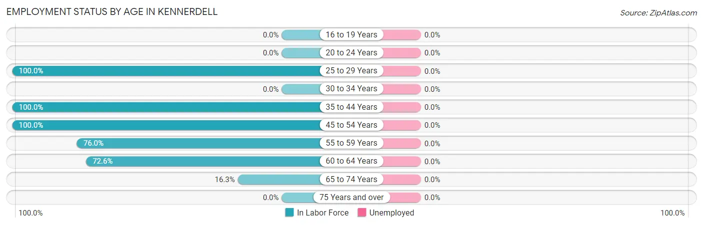 Employment Status by Age in Kennerdell