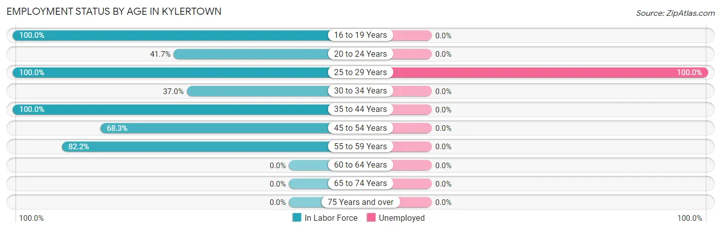 Employment Status by Age in Kylertown