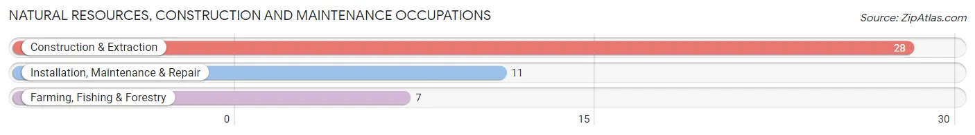 Natural Resources, Construction and Maintenance Occupations in Lamar