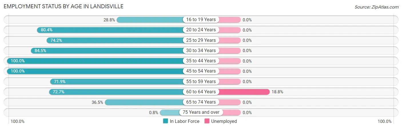Employment Status by Age in Landisville