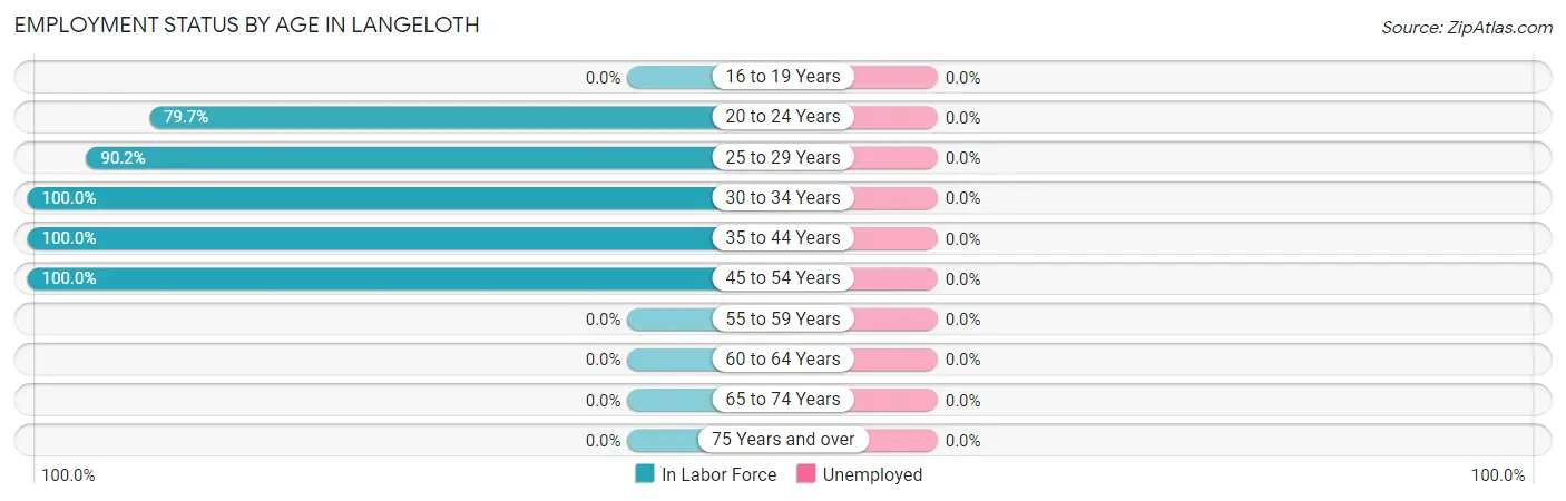 Employment Status by Age in Langeloth
