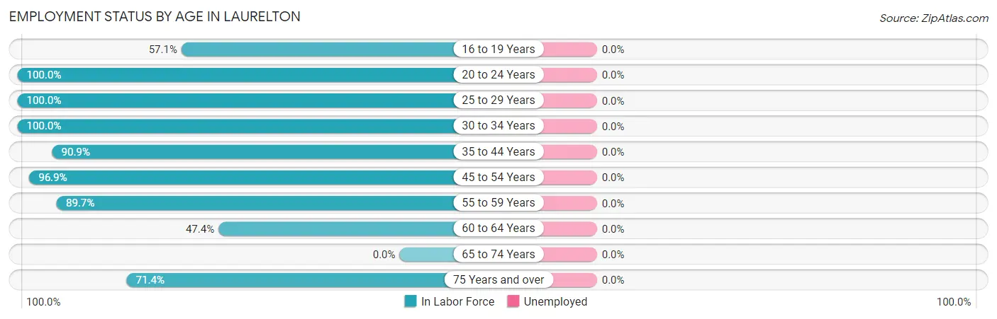 Employment Status by Age in Laurelton
