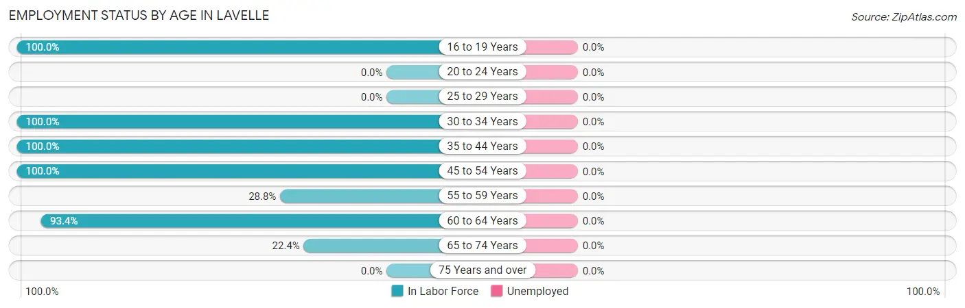 Employment Status by Age in Lavelle