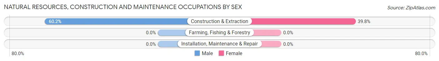 Natural Resources, Construction and Maintenance Occupations by Sex in Lavelle