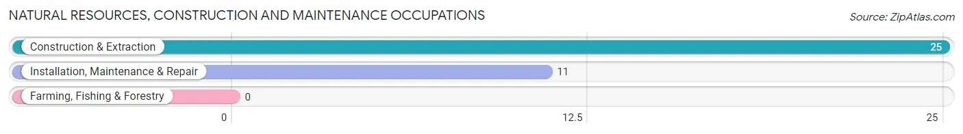 Natural Resources, Construction and Maintenance Occupations in Lemont