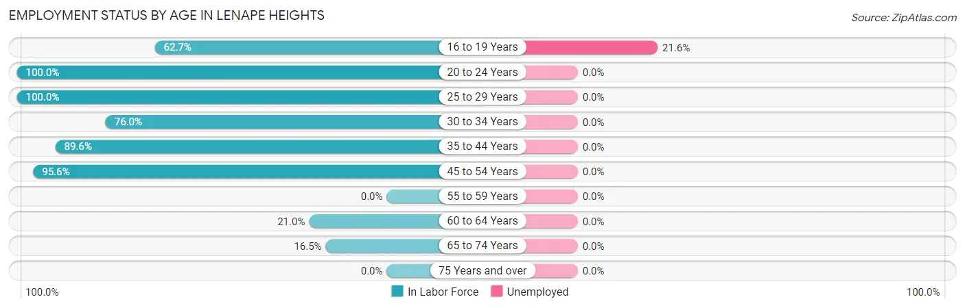 Employment Status by Age in Lenape Heights