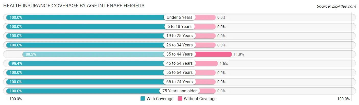 Health Insurance Coverage by Age in Lenape Heights