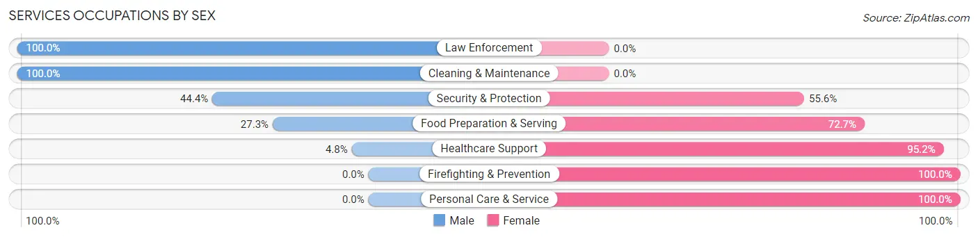 Services Occupations by Sex in Lewis Run borough