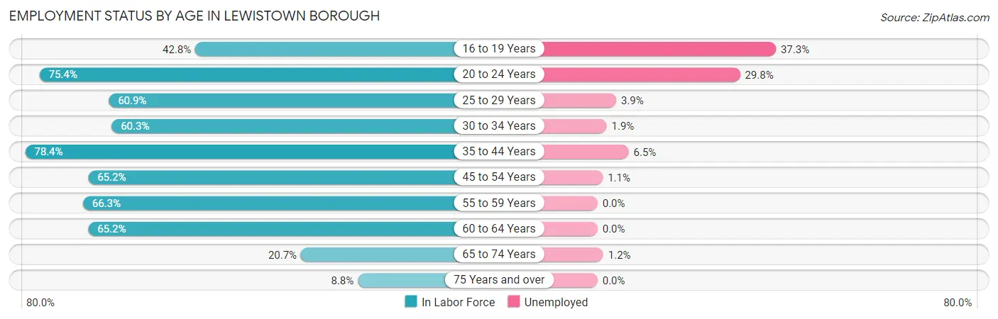 Employment Status by Age in Lewistown borough