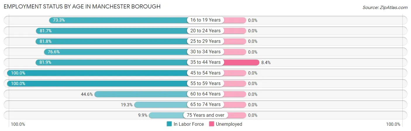 Employment Status by Age in Manchester borough