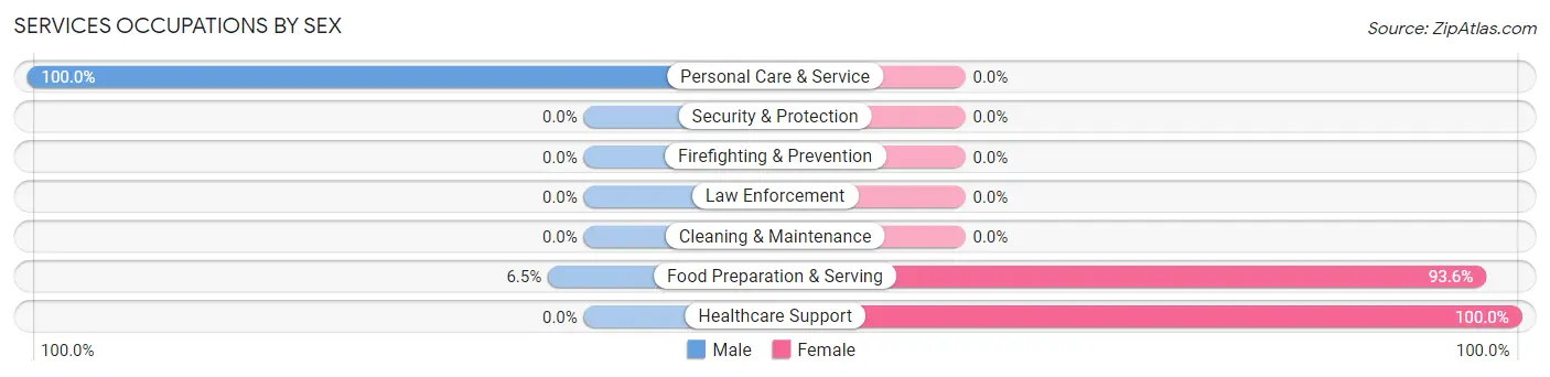 Services Occupations by Sex in Manchester borough