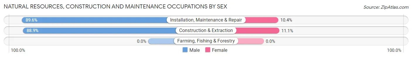 Natural Resources, Construction and Maintenance Occupations by Sex in Marietta borough