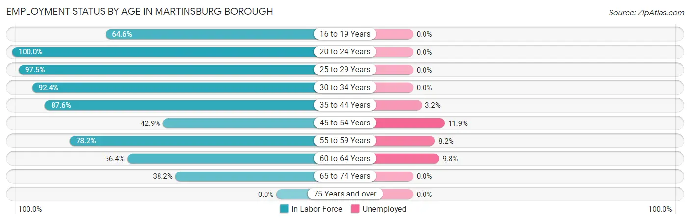 Employment Status by Age in Martinsburg borough