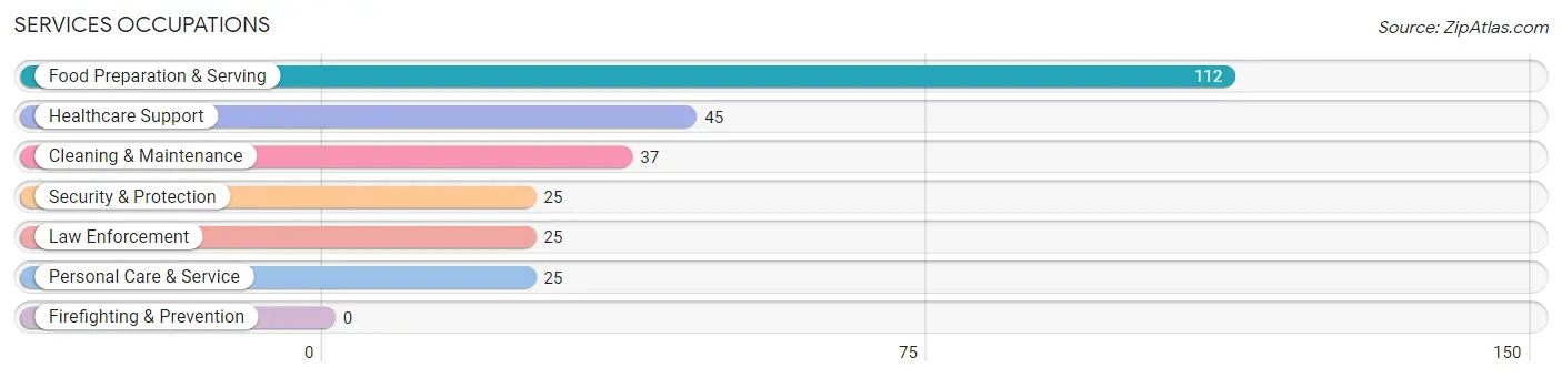 Services Occupations in McAdoo borough