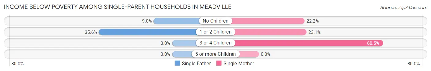 Income Below Poverty Among Single-Parent Households in Meadville
