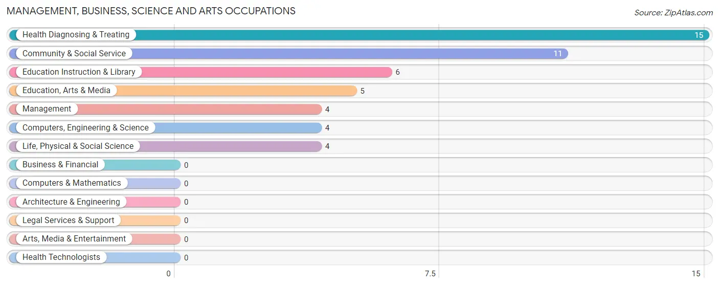 Management, Business, Science and Arts Occupations in Mexico