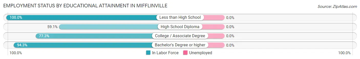 Employment Status by Educational Attainment in Mifflinville