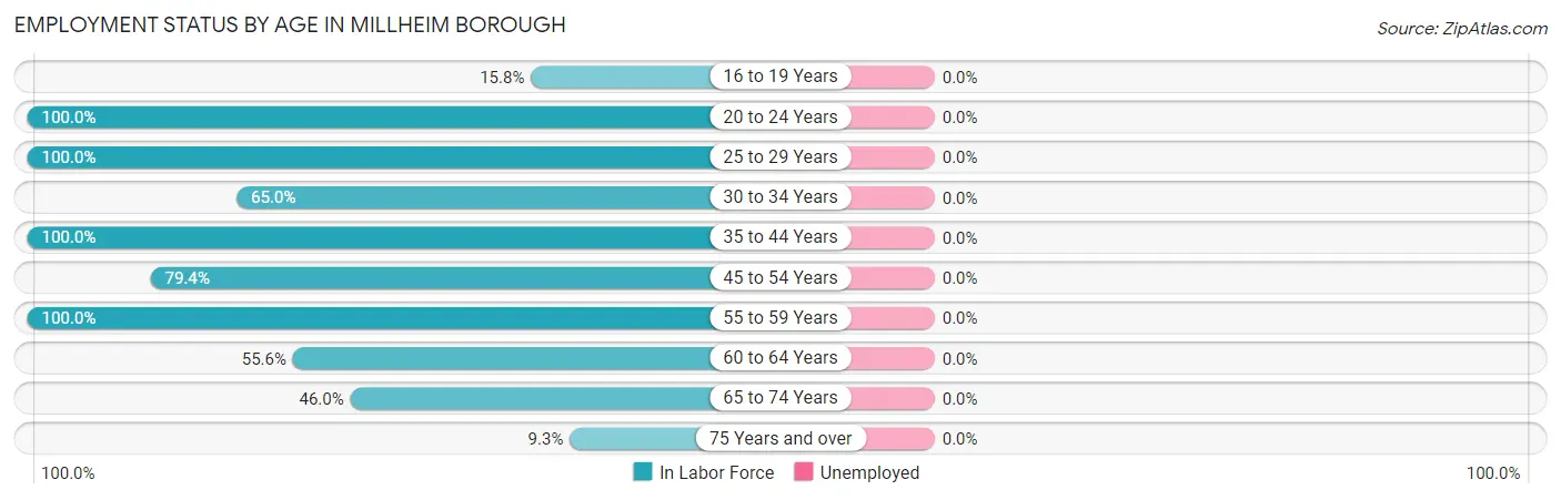 Employment Status by Age in Millheim borough