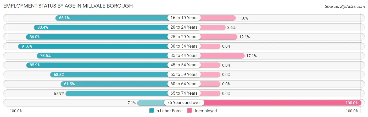 Employment Status by Age in Millvale borough