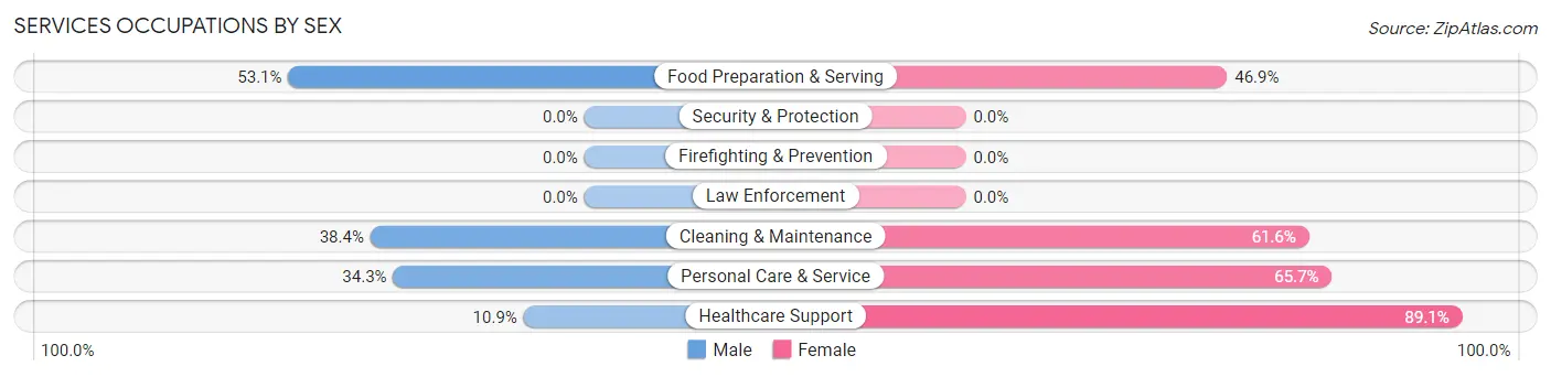 Services Occupations by Sex in Minersville borough