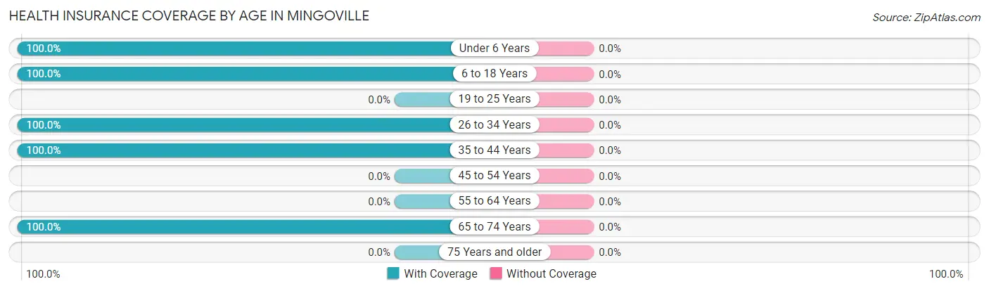 Health Insurance Coverage by Age in Mingoville