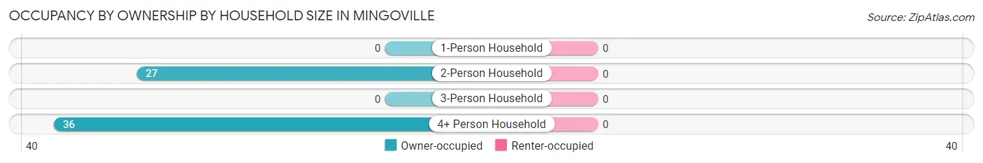 Occupancy by Ownership by Household Size in Mingoville