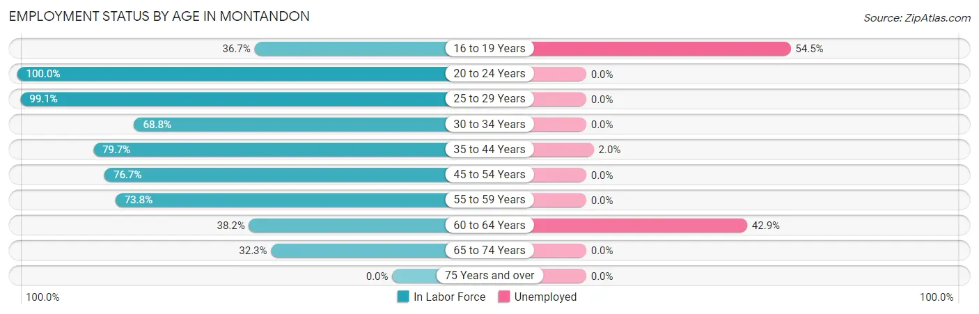 Employment Status by Age in Montandon