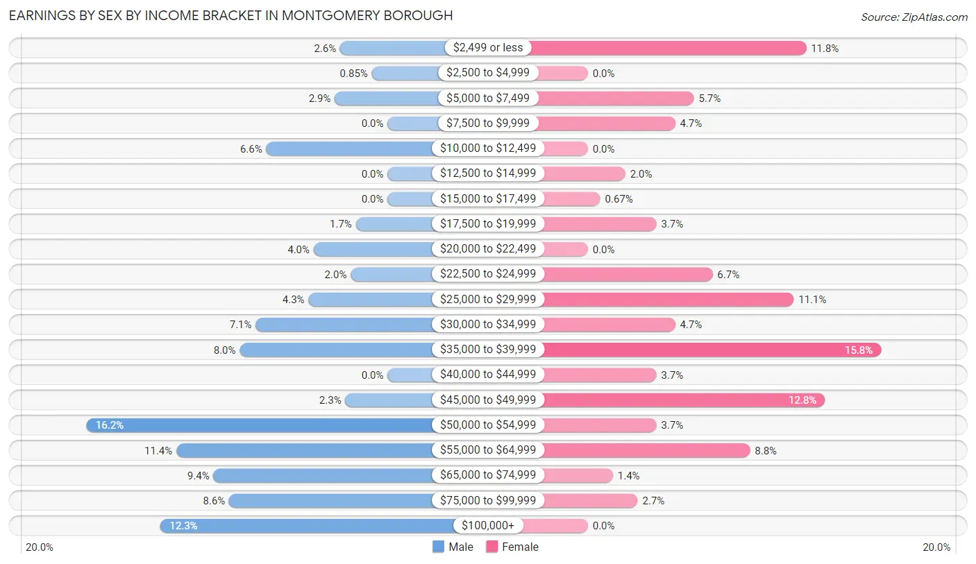 Earnings by Sex by Income Bracket in Montgomery borough