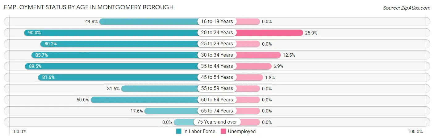 Employment Status by Age in Montgomery borough