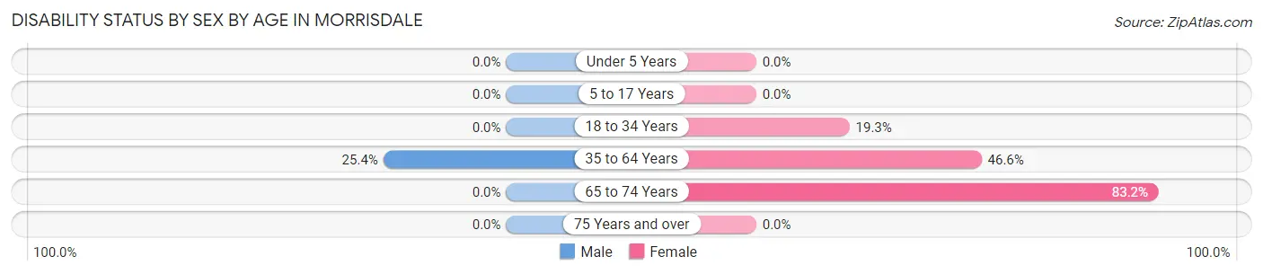 Disability Status by Sex by Age in Morrisdale
