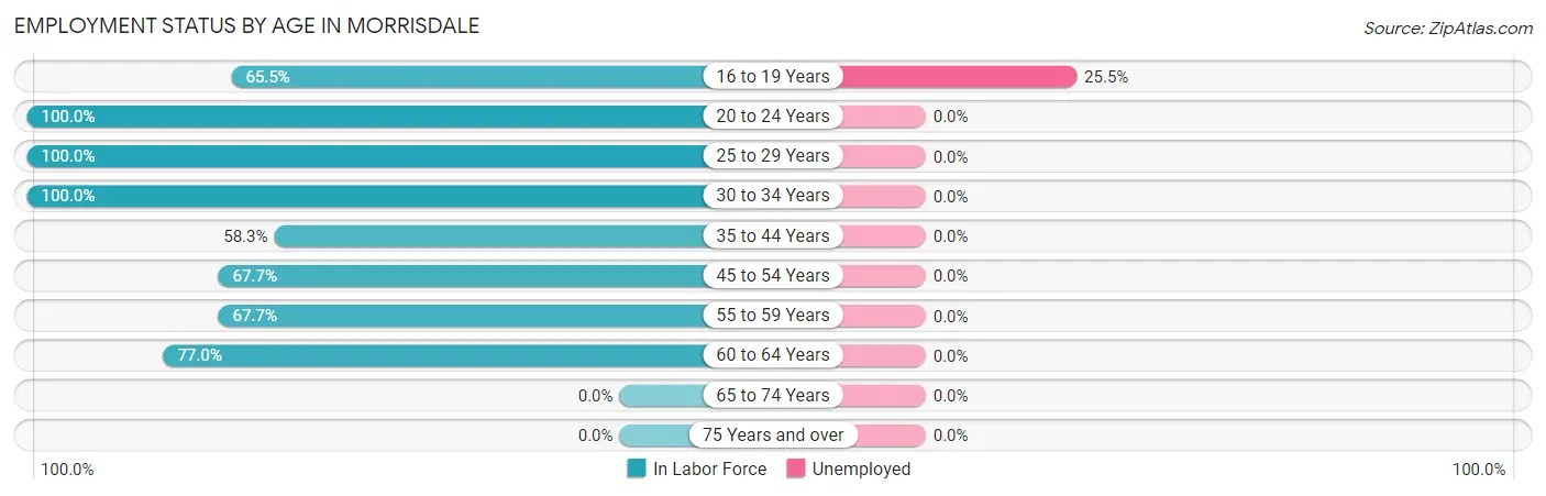 Employment Status by Age in Morrisdale