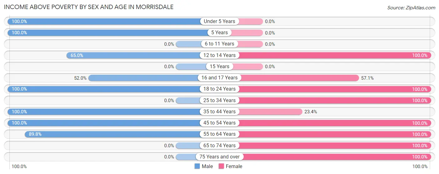 Income Above Poverty by Sex and Age in Morrisdale