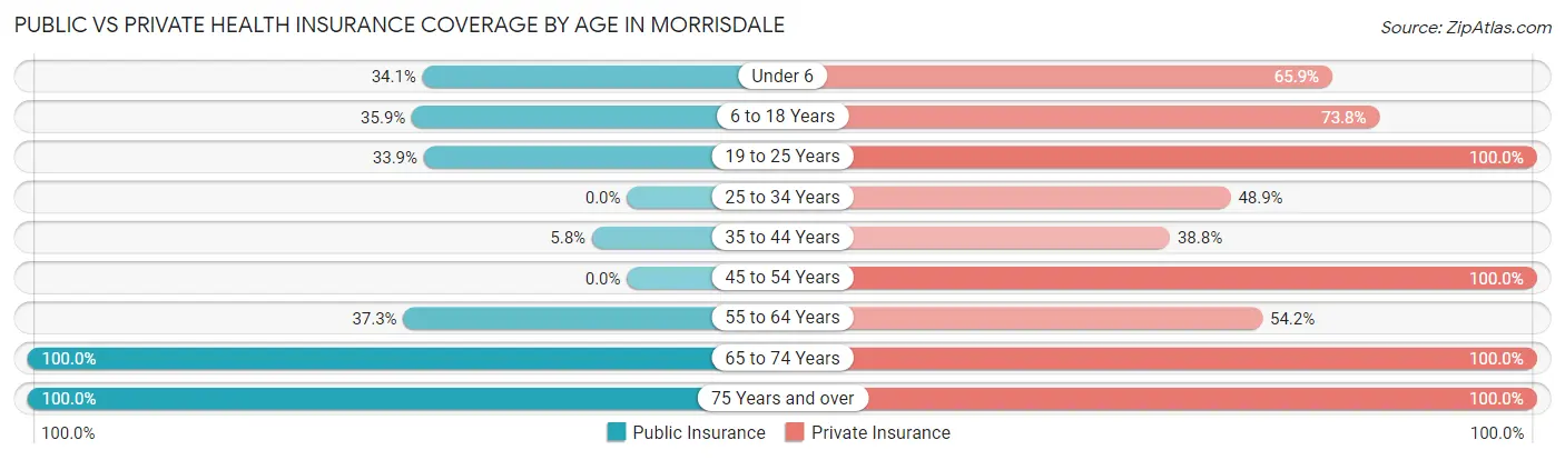 Public vs Private Health Insurance Coverage by Age in Morrisdale
