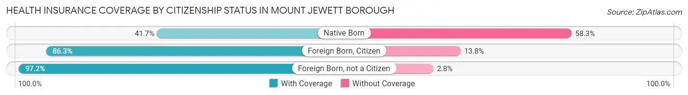 Health Insurance Coverage by Citizenship Status in Mount Jewett borough