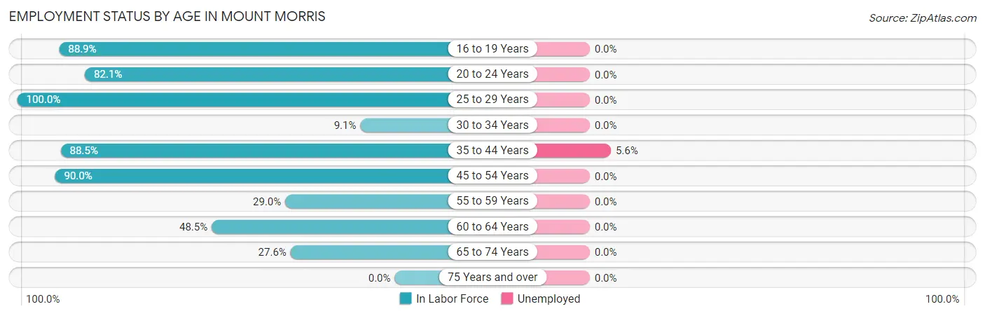 Employment Status by Age in Mount Morris