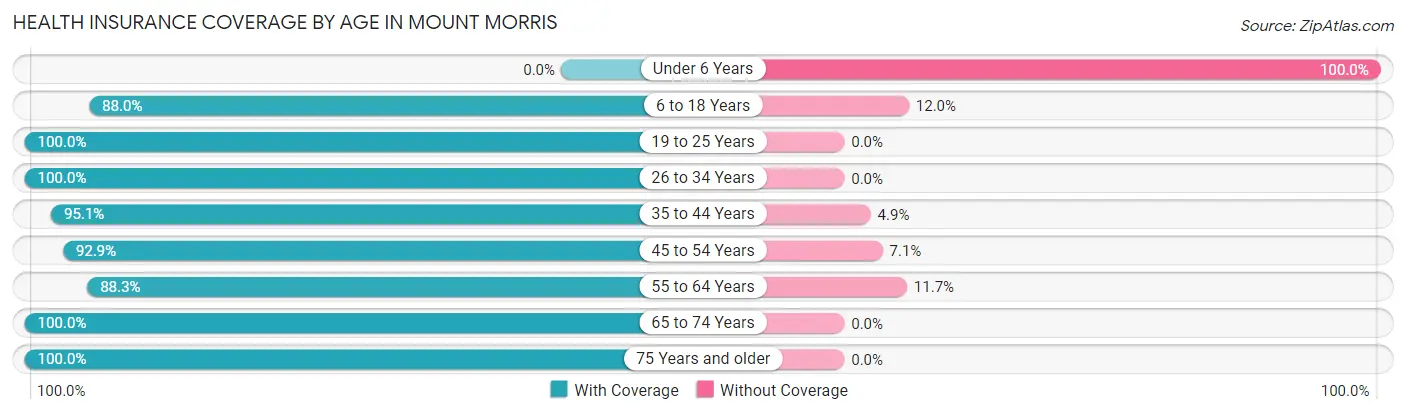 Health Insurance Coverage by Age in Mount Morris