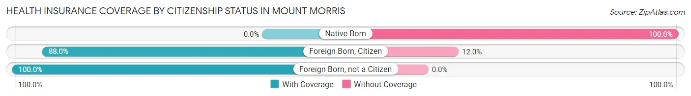 Health Insurance Coverage by Citizenship Status in Mount Morris