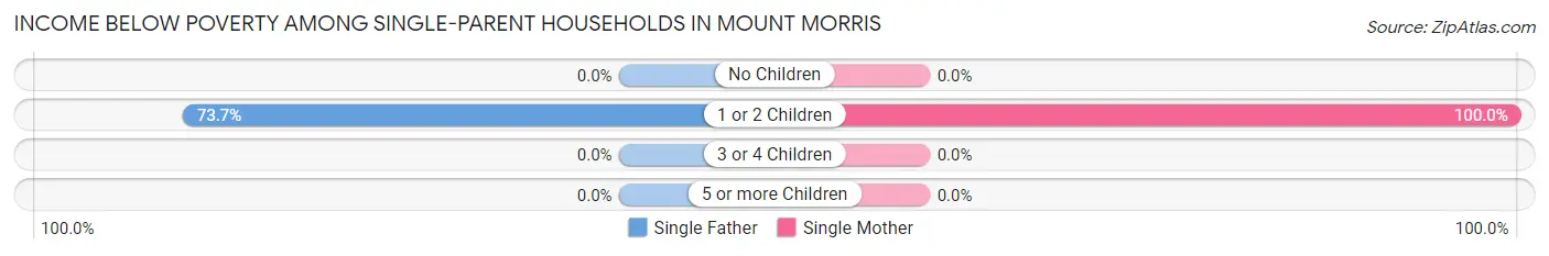 Income Below Poverty Among Single-Parent Households in Mount Morris