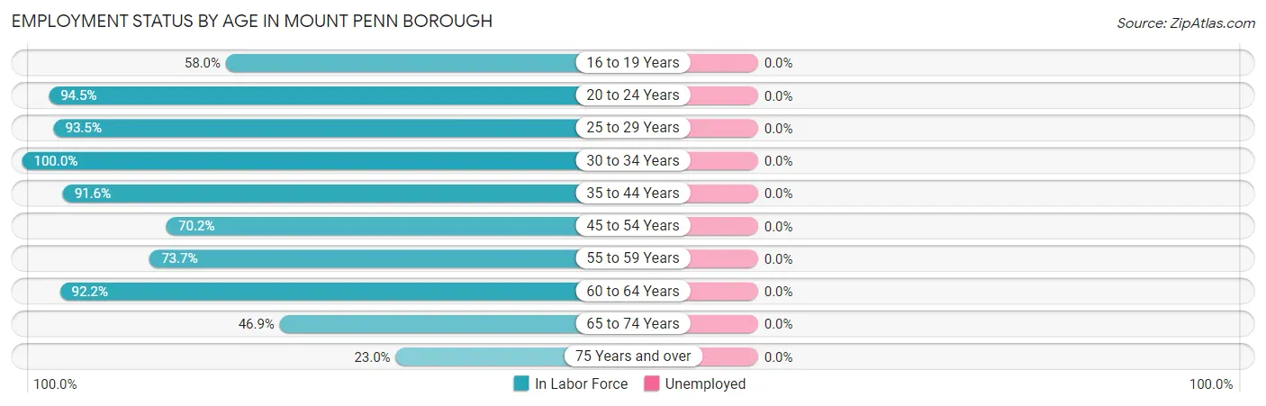 Employment Status by Age in Mount Penn borough