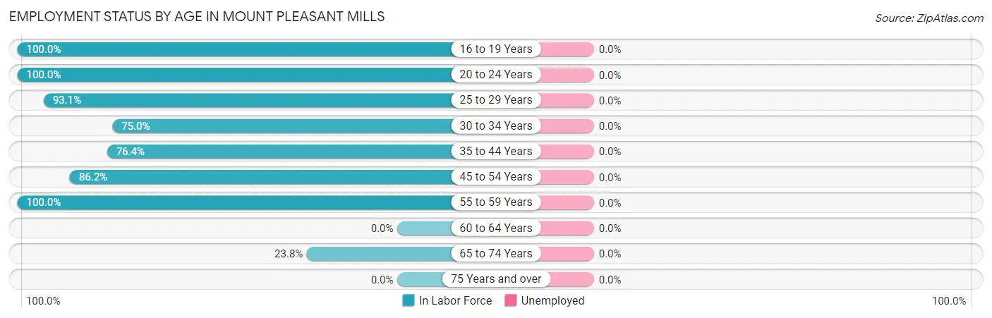 Employment Status by Age in Mount Pleasant Mills