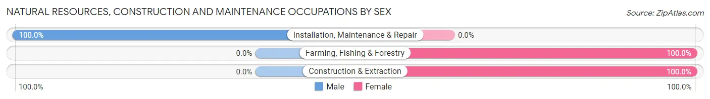 Natural Resources, Construction and Maintenance Occupations by Sex in Mount Pleasant Mills