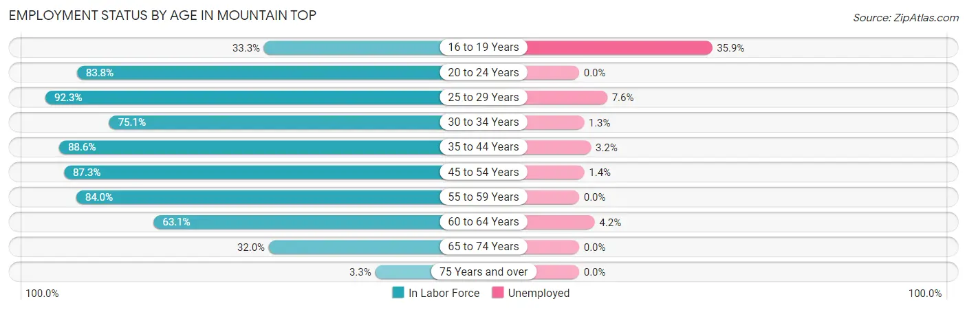 Employment Status by Age in Mountain Top