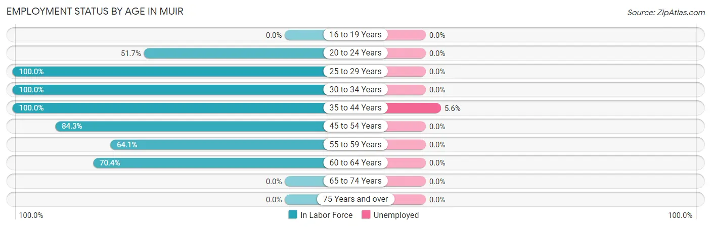 Employment Status by Age in Muir