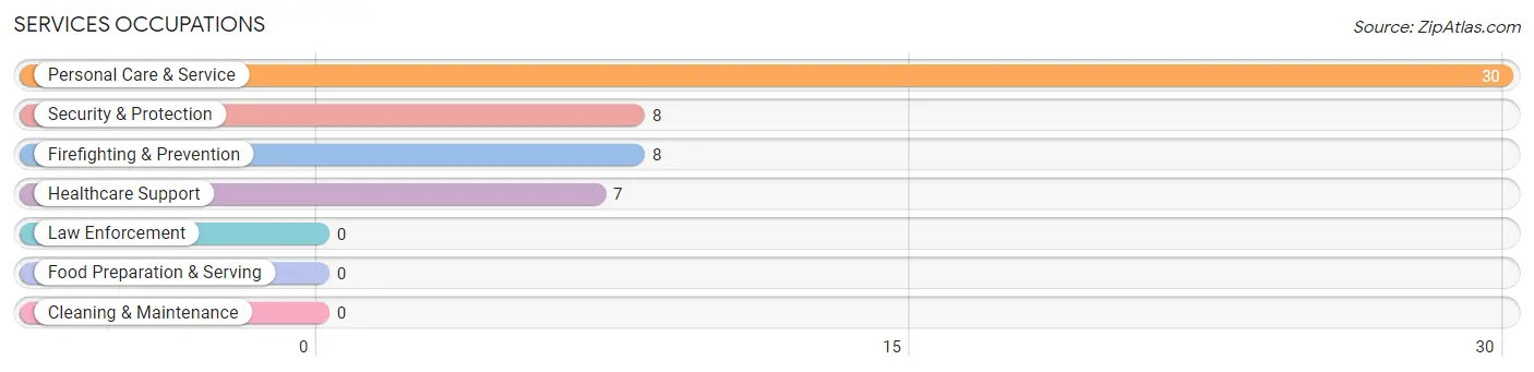 Services Occupations in Muir